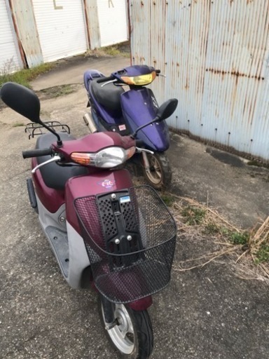 原付 Dio Fit
