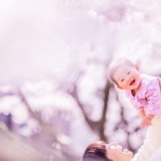 【🌸7日間限定🌸】ミニお花見　撮影会！