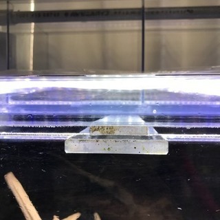 アクリル水槽 LEDライト&流木セット