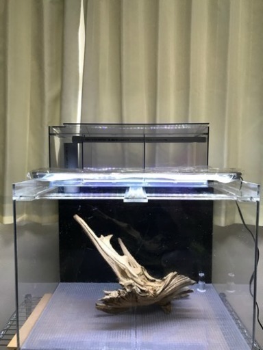 アクリル水槽 LEDライト\u0026流木セット