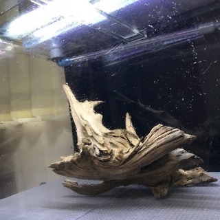 アクリル水槽 LEDライト&流木セット