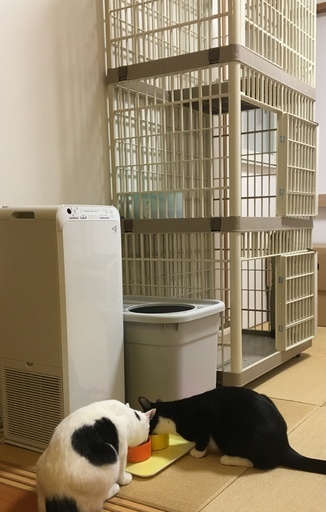 （中古）猫用ケージ（アイリスオーヤマプラケージ 3段）
