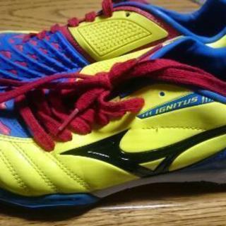 《値下げします‼》mizuno  IGNITUS