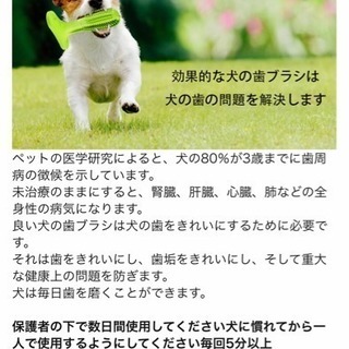 新品！ペット口腔ケア 犬の歯ブラシ 柔らかい子犬かむ玩具 クリーナー