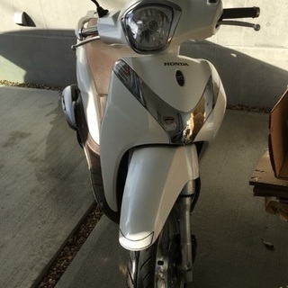 SHモード(125cc)希少