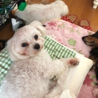 経理その他事務代行致します!