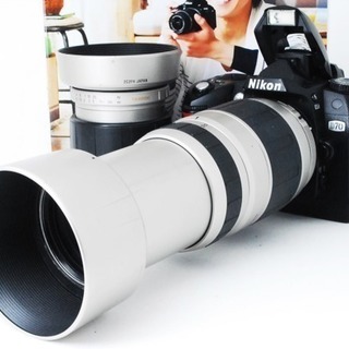☆超名機☆ビギナー向け☆届いてすぐ使える☆ニコン D70 300mm