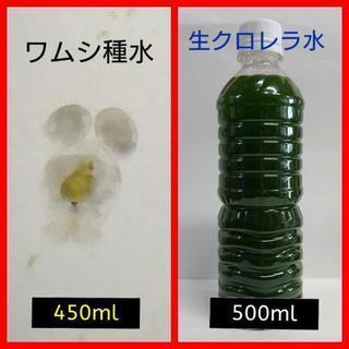 中古ワムシが無料 格安で買える ジモティー