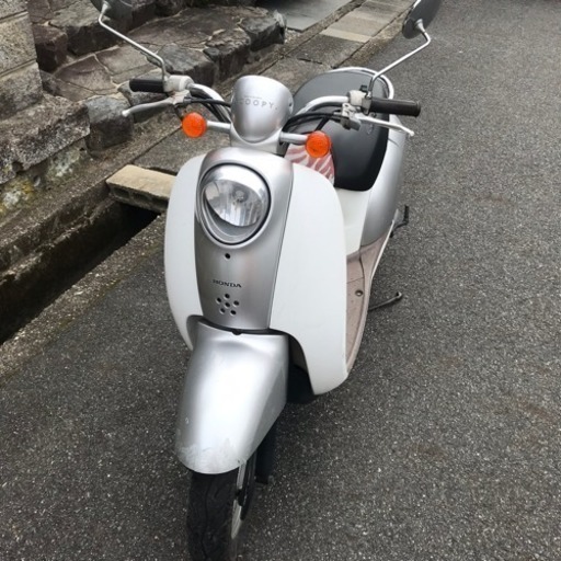 ホンダ スクーピー 白×シルバー ３月中の短期出品