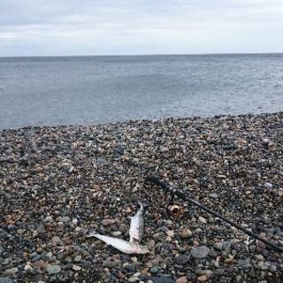釣り フィッシング 長野市 新潟 上越