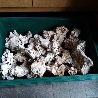 ライブロック 熱帯魚海水魚水槽 Nekoneko 久が原のその他の中古あげます 譲ります ジモティーで不用品の処分