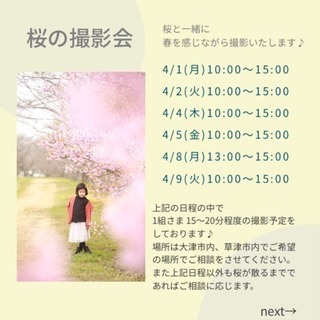 🌸桜の撮影会のお知らせ🌸
