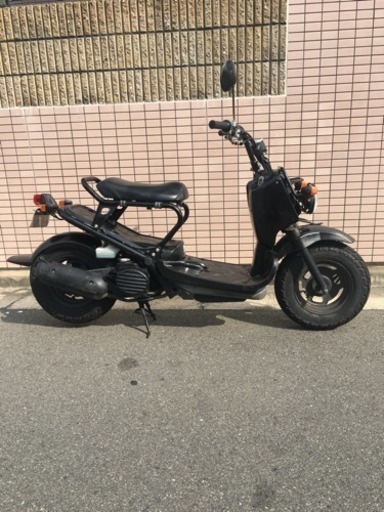 ズーマー！オイル交換済み！