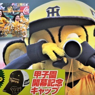 阪神タイガース甲子園球場開幕戦４月９日、大人券２枚、1塁アルプス...
