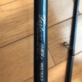 レスターファイン