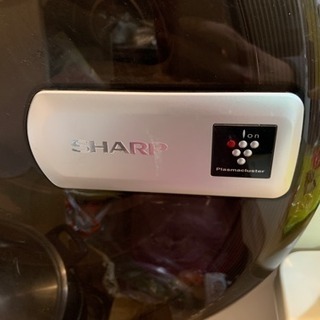 限定値引き！SHARP プラズマクラスター ドラム式洗濯機