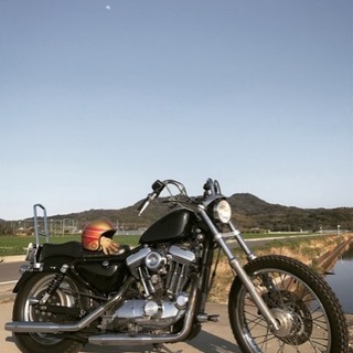 Harley-Davidson HarleyDavidson ハーレーダビッドソン  Harley スポーツスター XL1200c