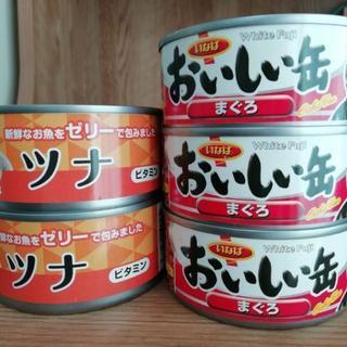 猫の缶詰　5缶