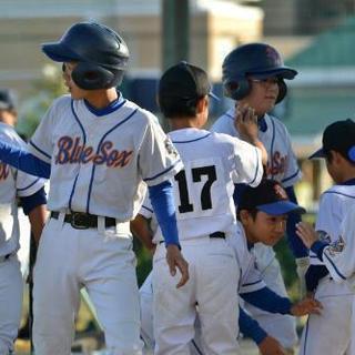 少年野球チームの次期監督募集