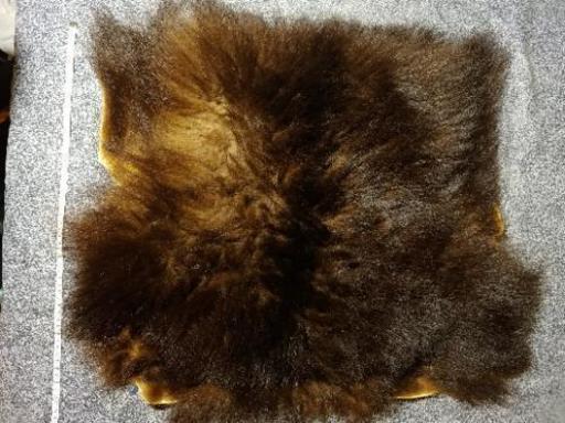 【美品・レア】ヒグマの毛皮 敷物 冬毛 ラグ 骨格標本 登山 コレクション