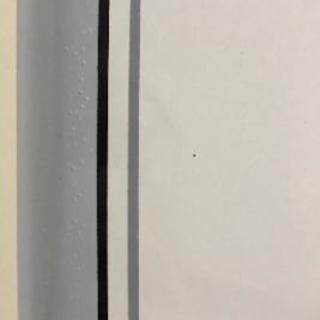 SANTA CRUZ  surf board  6.6

サンタクルーズ　サーフボード