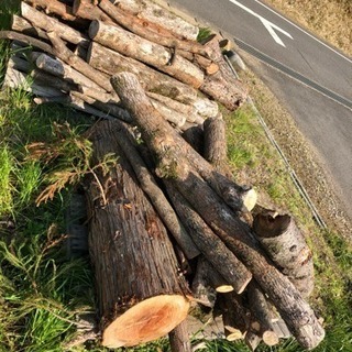 薪の原木