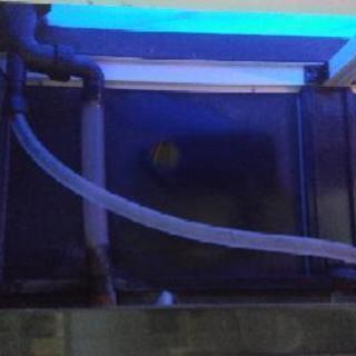 液晶タッチパネル　オーバーフロー水槽 120cm フルセット
