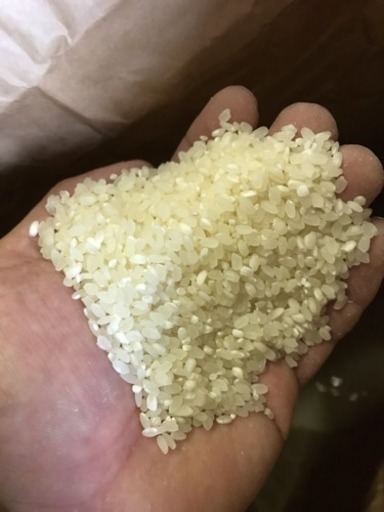 R元年産 ブレンド米