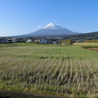 農家直送】H30年 静岡産 ミルキークイーン100% 白米27kg
