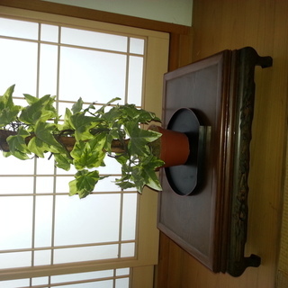 和室に　盆栽置などの置台に　差し上げます。