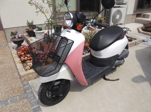 ホンダ　トゥデイ　AF67　ピンク　2009年製　ヘルメット付き！