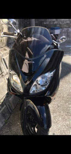 【交渉中】     FORZA