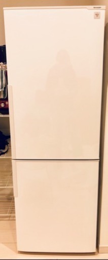 シャープ プラズマクラスター 冷蔵庫