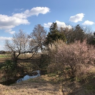 宇都宮インターパーク限定の友達募集✨