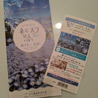 大阪舞洲 ネモフィラ祭り 割引券