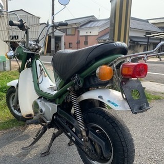 チャッピー50 − 兵庫県