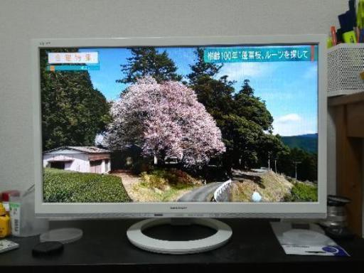 シャープ24型テレビ　LC-24K30