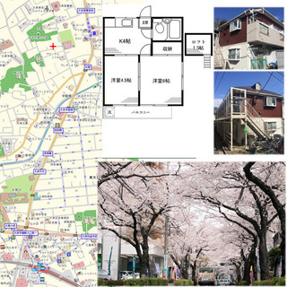 ★2DK・猫可！初期費用6.5万円のみ！！ 池袋まで15分♪大泉...