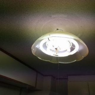 室内灯 普通に使えます。