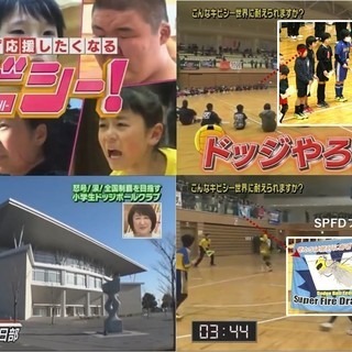 メンバー募集 公式ドッジボールチーム Spファイヤードラゴンズ 小学生 あつまれ っ 野田歩 的場のその他のメンバー募集 無料掲載の掲示板 ジモティー メンバー募集 公式ドッジボールチーム Spファイヤードラゴンズ 小学生 あつまれ っ 野田歩 的場のその他のメンバー募集 無料掲載の掲示板 ジモティー