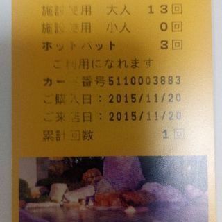 山梨 石和温泉 かいせん 回数券カード