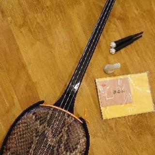 琉球 沖縄 三線 (さんしん) 本蛇革