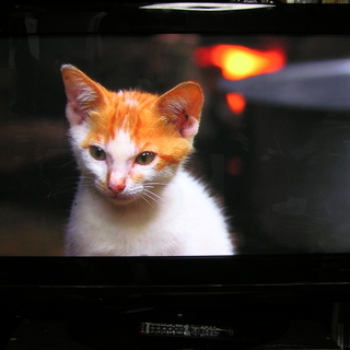 ◇取引終了 日立42型プラズマテレビ□HDD内蔵♪録画できます。☆