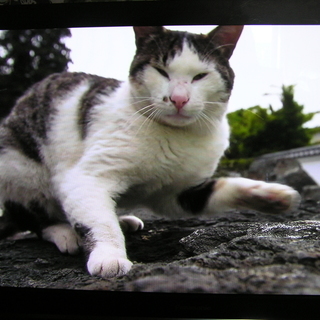 ◇取引終了 日立42型プラズマテレビ□HDD内蔵♪録画できます。☆
