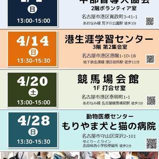 4月7日(日) 猫の譲渡会 名古屋市港区 社会福祉法人 中部盲導犬協会　みなと猫の会 主催 - イベント