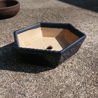六角鉢