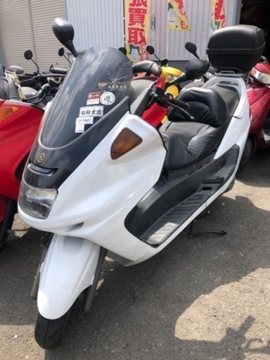 YAMAHA  マジェスティ250 セル始動 実働 福岡市南区