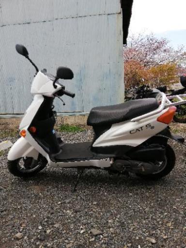 CAT 5    原付（検）ホンダ トゥディ 50cc