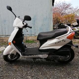  CAT 5    原付（検）ホンダ トゥディ 50cc