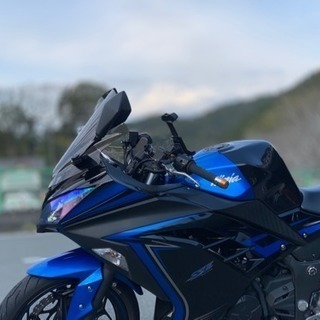 ninja250  カスタム多